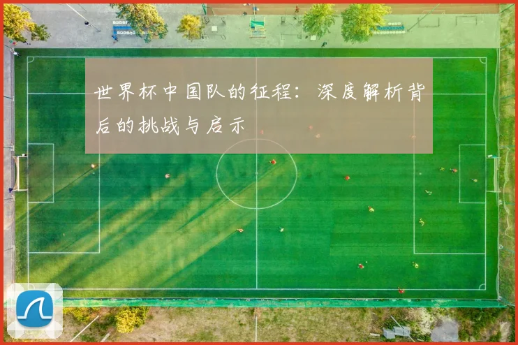 世界杯中国队的征程:深度解析背后的挑战与启示