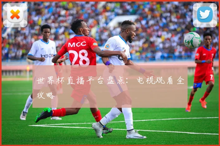 世界杯直播平台盘点:电视观看全攻略