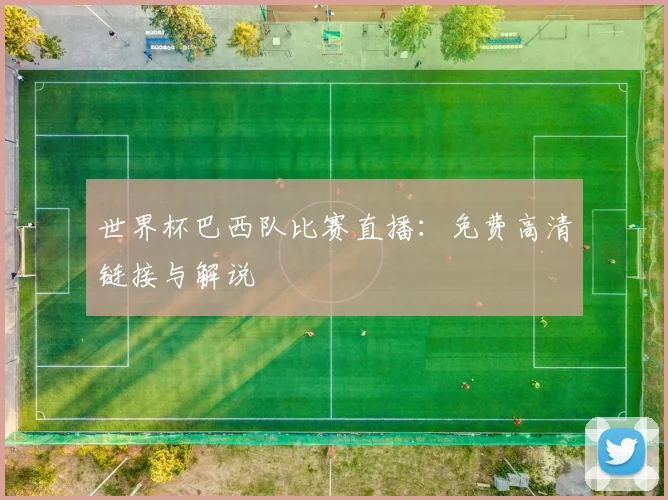 世界杯巴西队比赛直播:免费高清链接与解说