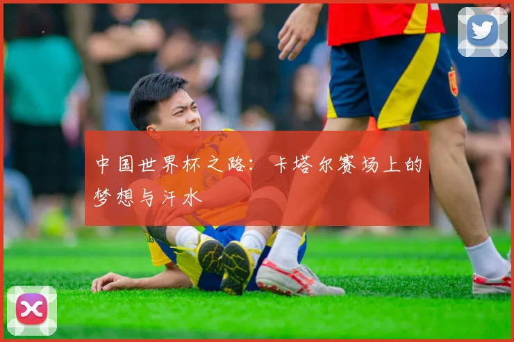 中国世界杯之路:卡塔尔赛场上的梦想与汗水