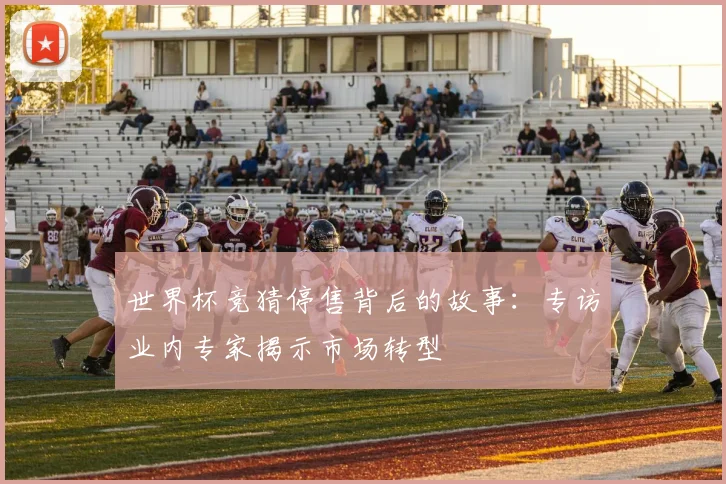 世界杯竞猜停售背后的故事：专访业内专家揭示市场转型