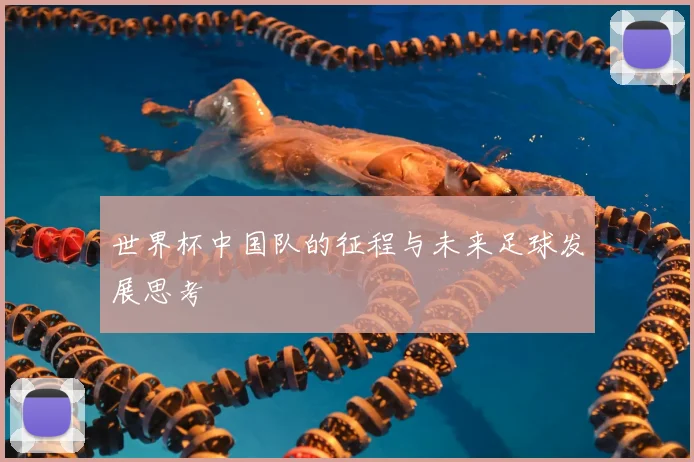 世界杯中国队的征程与未来足球发展思考