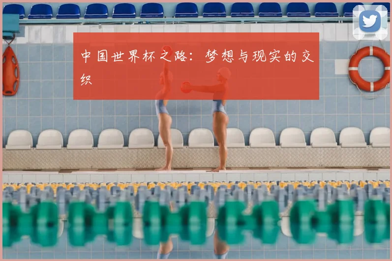中国世界杯之路:梦想与现实的交织