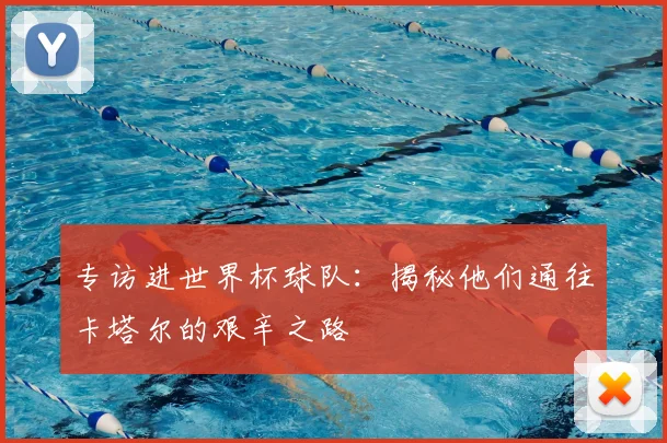 专访进世界杯球队:揭秘他们通往卡塔尔的艰辛之路