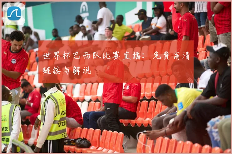 世界杯巴西队比赛直播:免费高清链接与解说