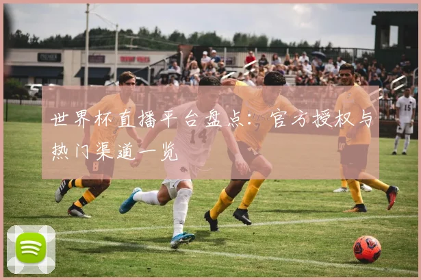 世界杯直播平台盘点:官方授权与热门渠道一览